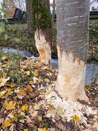 20241115_093539[1]