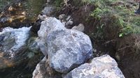 20190904_150618