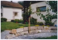 Scan_20160309_154805_011